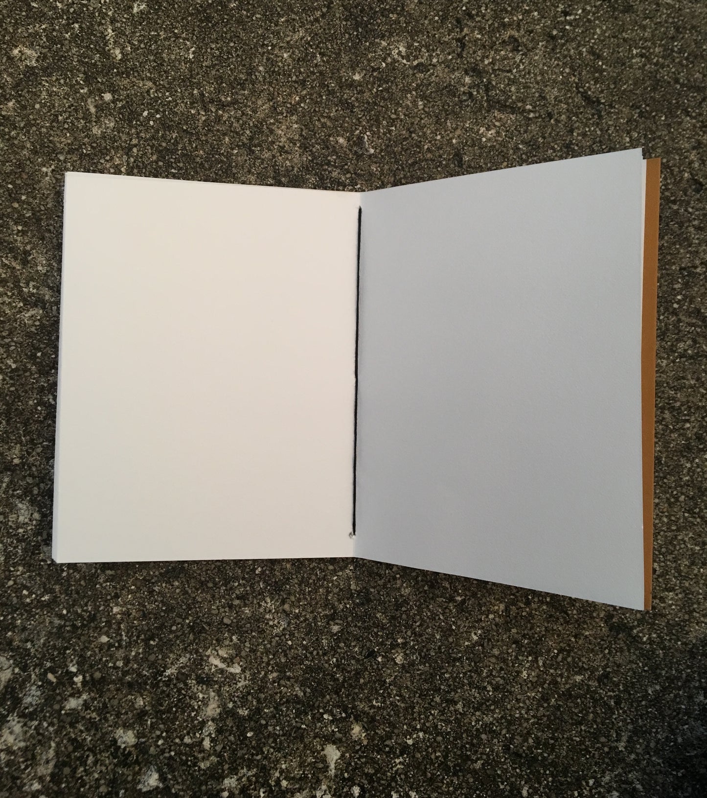 holographic notebook